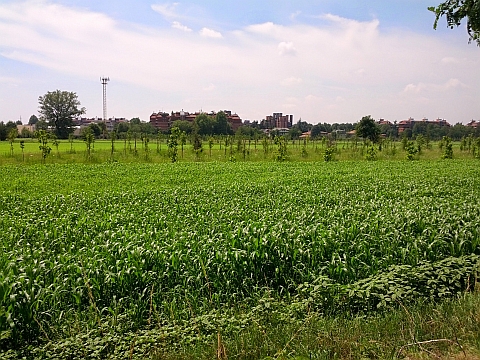 20140705daviaFermi sud r