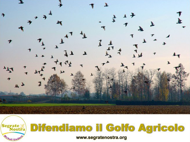 difendiamoilgolfoagricolo